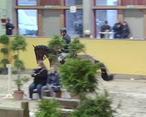 Reitturnier Prussendorf 2019