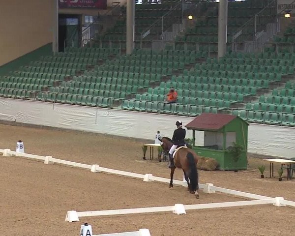 Reitturnier Kreuth/Opf. 2019