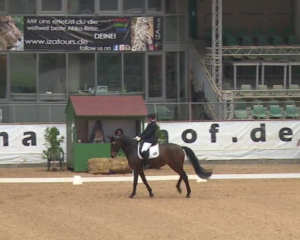 Reitturnier Kreuth/Opf. 2019