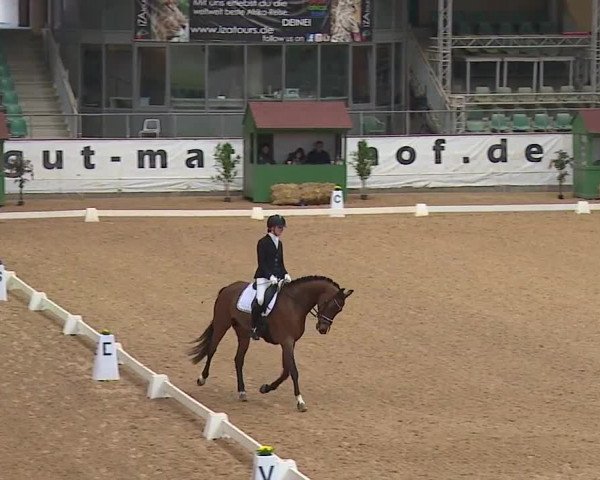 Reitturnier Kreuth/Opf. 2019