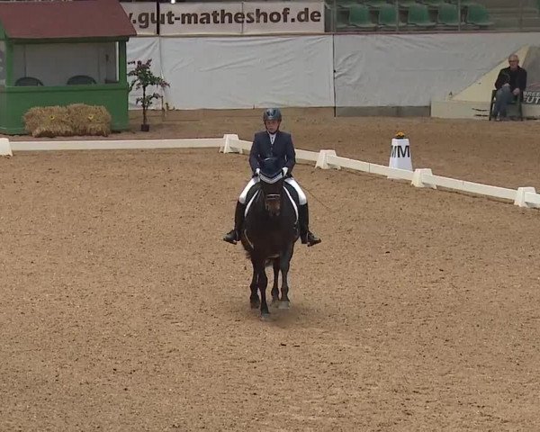 Reitturnier Kreuth/Opf. 2019