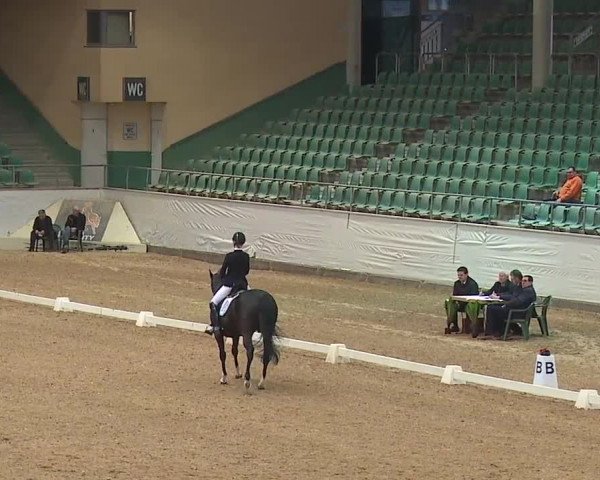 Reitturnier Kreuth/Opf. 2019