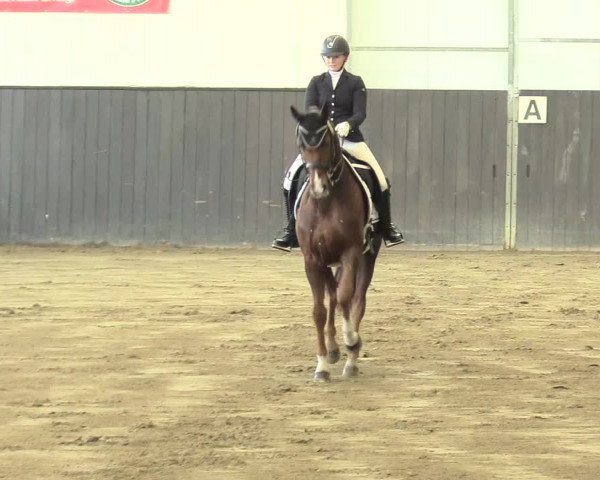 Reitturnier St. Peter Ording 2021