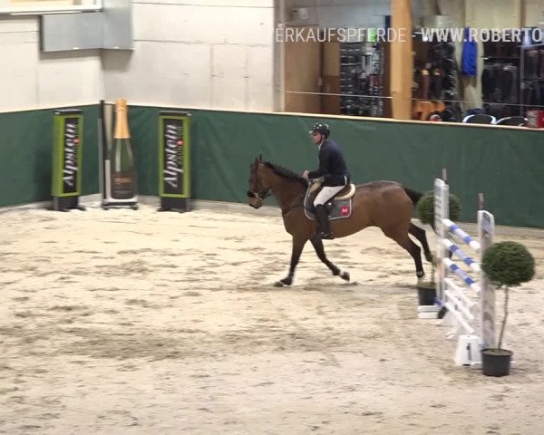 Reitturnier Dielsdorf, Horsepark Masters 2019