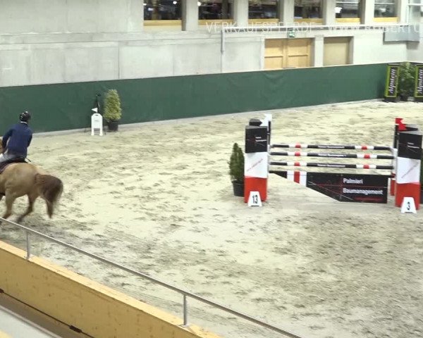 Reitturnier Dielsdorf, Horsepark Masters 2019