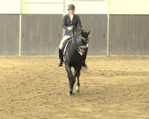 Reitturnier St. Peter Ording 2021