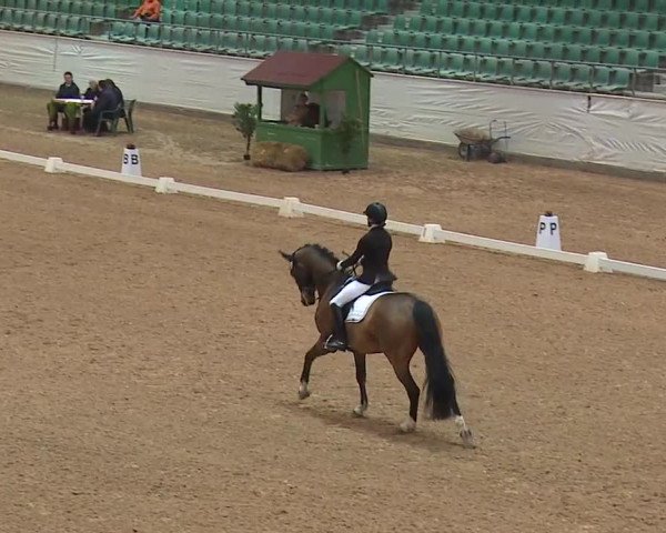 Reitturnier Kreuth/Opf. 2019
