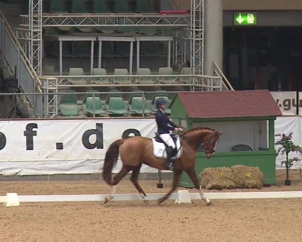 Reitturnier Kreuth/Opf. 2019