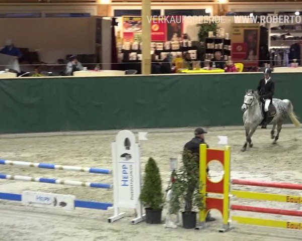 Reitturnier Dielsdorf, Horsepark Masters 2019