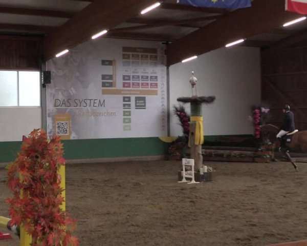 Reitturnier Warendorf-Freckenhorst 2019