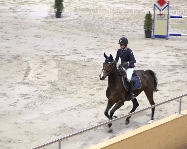 Reitturnier Dielsdorf, Horsepark Masters 2019