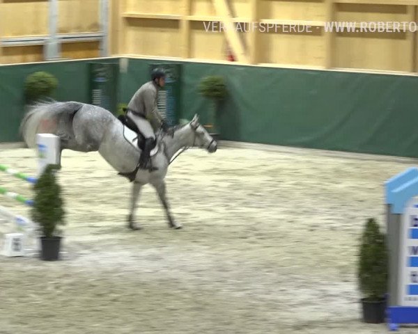 Reitturnier Dielsdorf, Horsepark Masters 2019