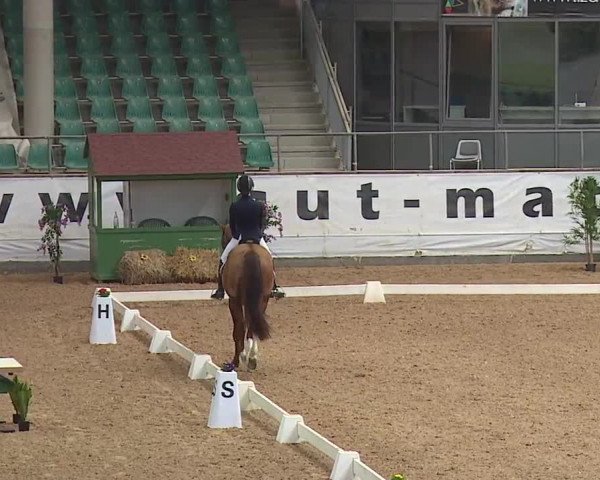 Reitturnier Kreuth/Opf. 2019