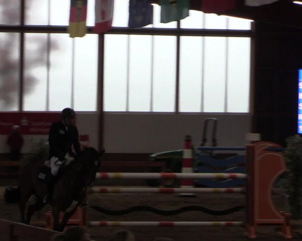 Reitturnier Warendorf-Freckenhorst 2019