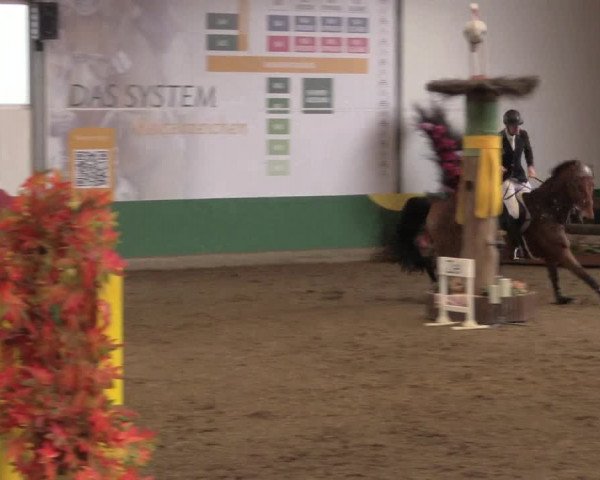 Reitturnier Warendorf-Freckenhorst 2019