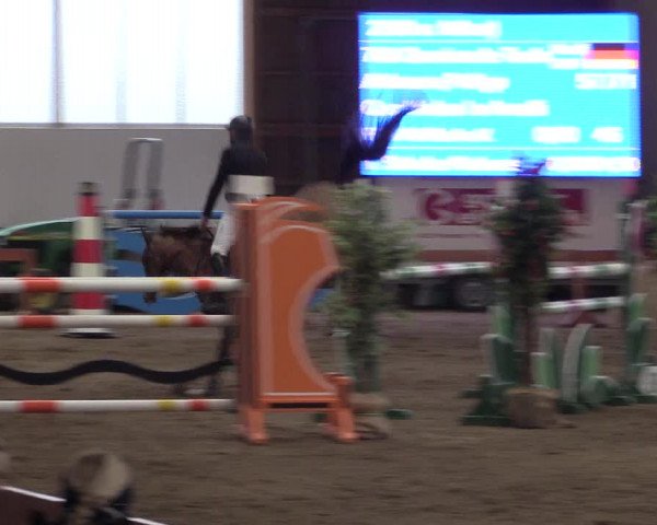 Reitturnier Warendorf-Freckenhorst 2019