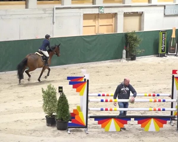 Reitturnier Dielsdorf, Horsepark Masters 2019