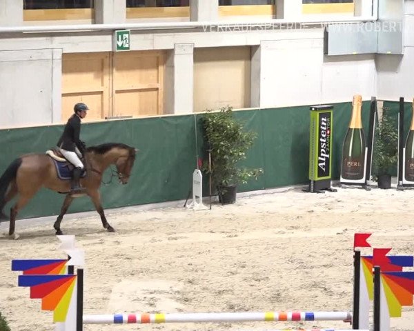Reitturnier Dielsdorf, Horsepark Masters 2019