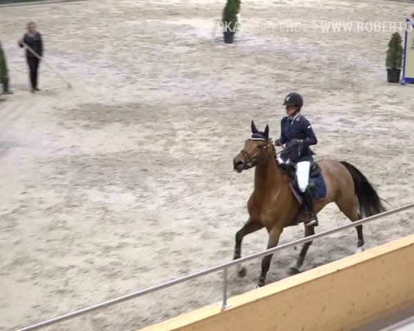 Reitturnier Dielsdorf, Horsepark Masters 2019