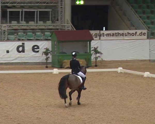 Reitturnier Kreuth/Opf. 2019