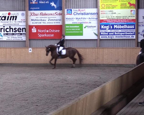 Reitturnier Leck 2019