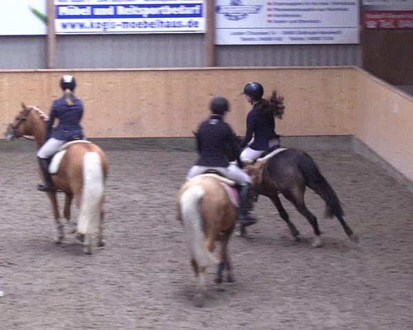 Reitturnier Leck 2019