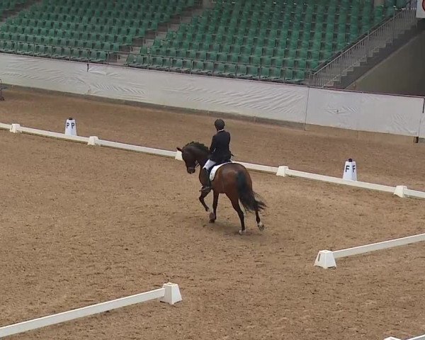 Reitturnier Kreuth/Opf. 2019