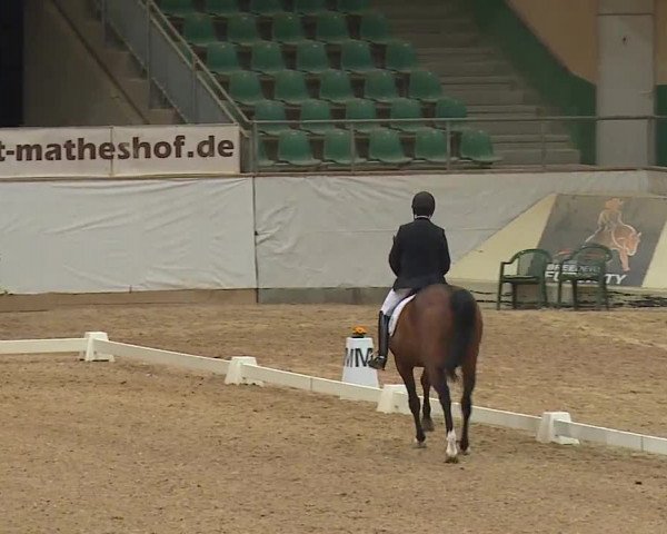 Reitturnier Kreuth/Opf. 2019