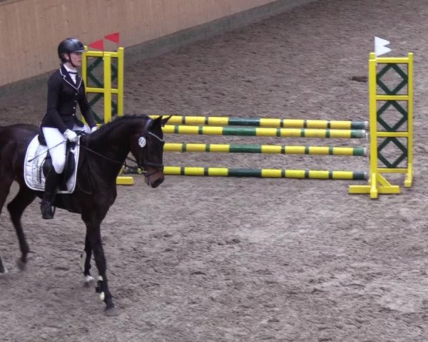 Reitturnier Leck 2019