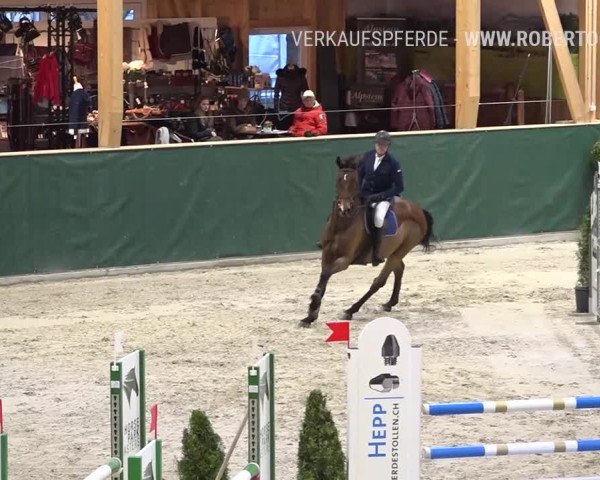 Reitturnier Dielsdorf, Horsepark Masters 2019