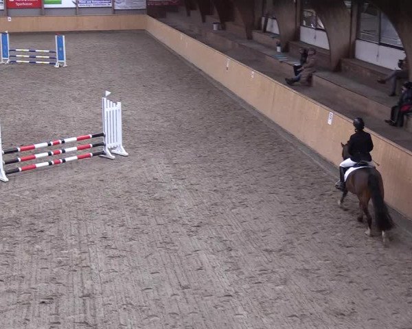 Reitturnier Leck 2019