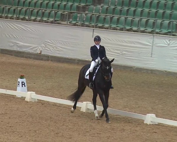 Reitturnier Kreuth/Opf. 2019