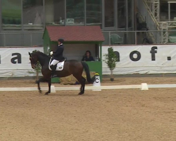Reitturnier Kreuth/Opf. 2019