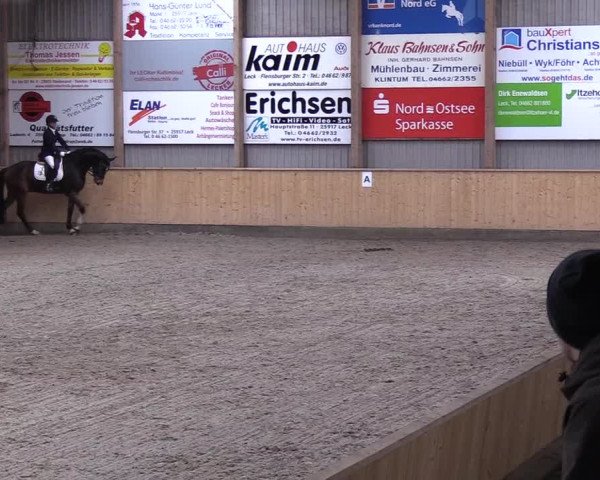 Reitturnier Leck 2019