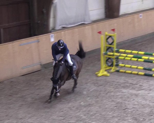 Reitturnier Leck 2019