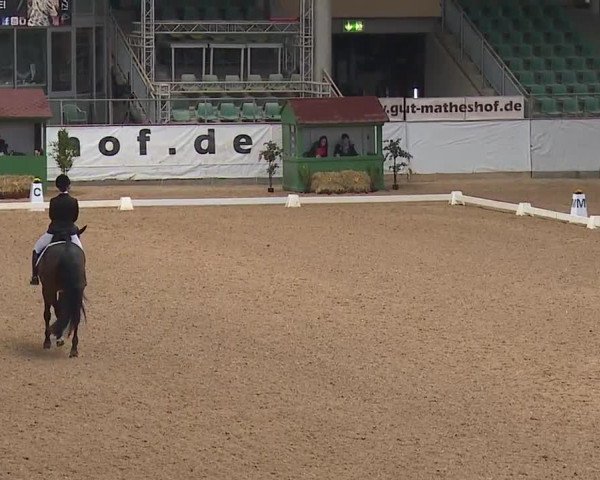 Reitturnier Kreuth/Opf. 2019
