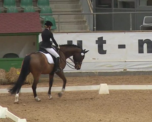 Reitturnier Kreuth/Opf. 2019