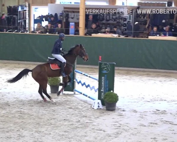 Reitturnier Dielsdorf, Horsepark Masters 2019