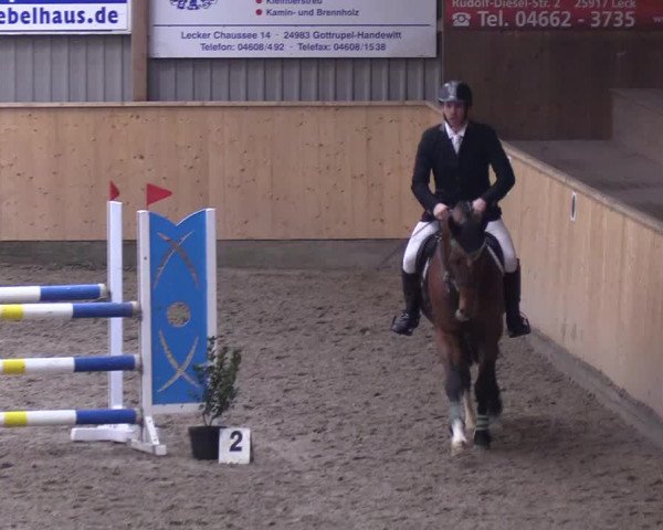 Reitturnier Leck 2019