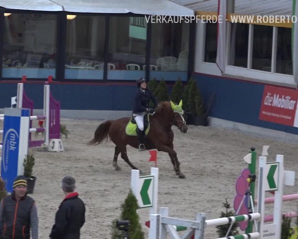 Reitturnier Oberriet 2019