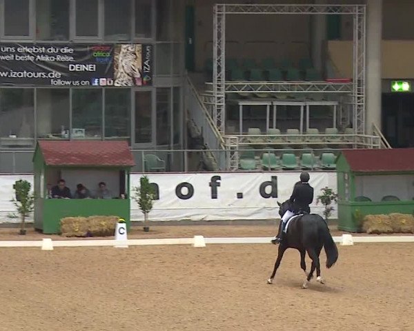 Reitturnier Kreuth/Opf. 2019
