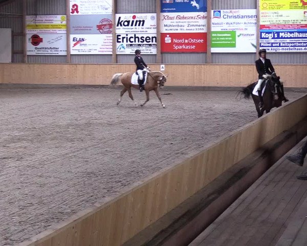 Reitturnier Leck 2019