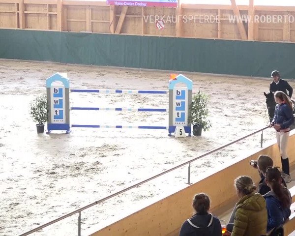 Reitturnier Dielsdorf, Horsepark Masters 2019