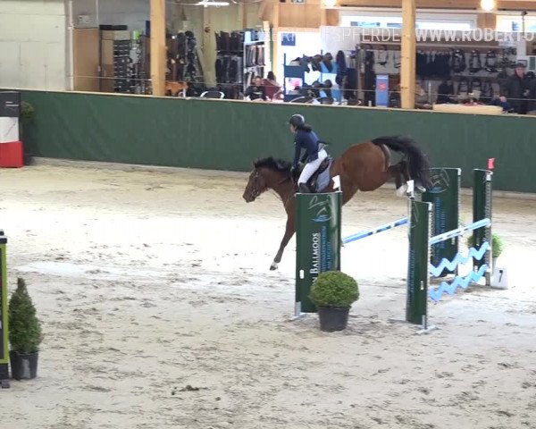 Reitturnier Dielsdorf, Horsepark Masters 2019