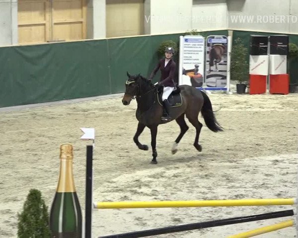 Reitturnier Dielsdorf, Horsepark Masters 2019