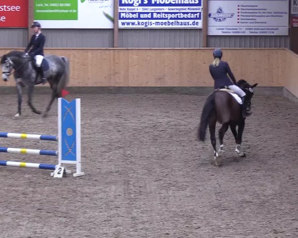Reitturnier Leck 2019