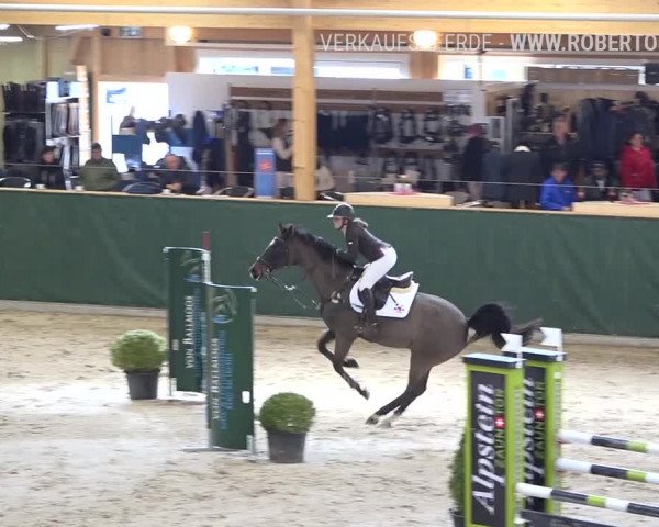 Reitturnier Dielsdorf, Horsepark Masters 2019