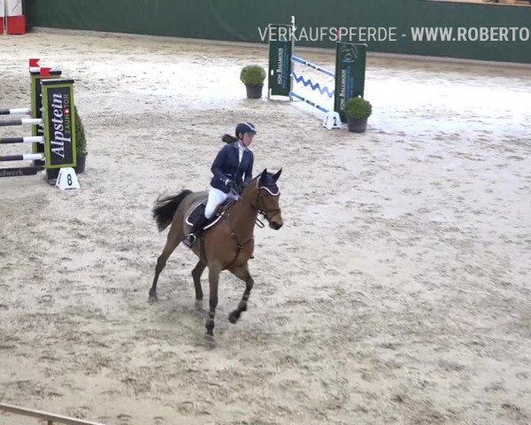 Reitturnier Dielsdorf, Horsepark Masters 2019