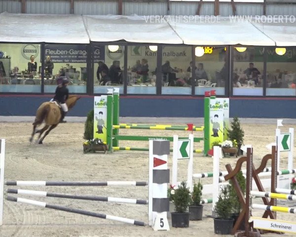 Reitturnier Oberriet 2019