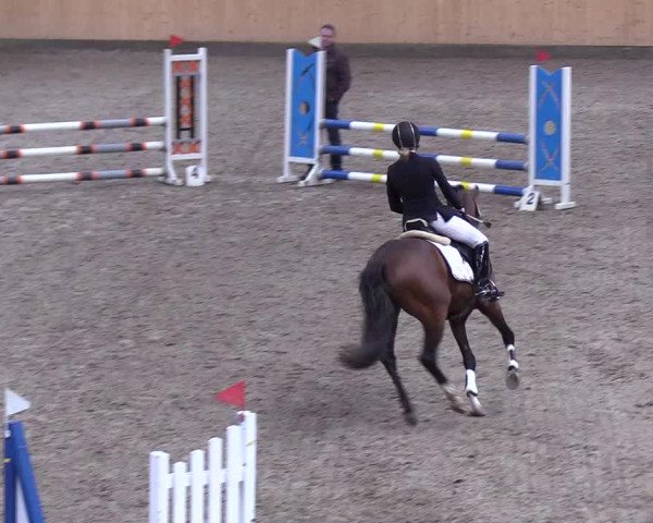 Reitturnier Leck 2019